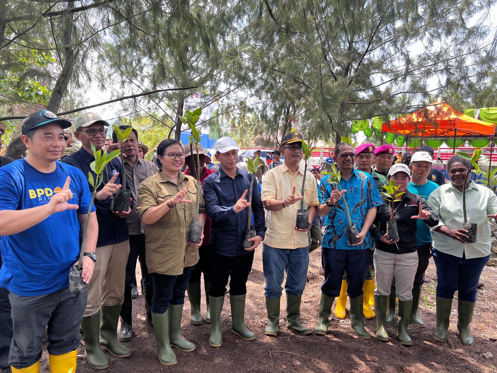 Dirjen PKTL Pimpin Penanaman Mangrove di Papua