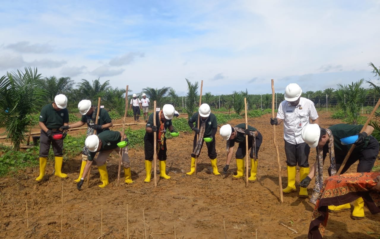 Ancaman Krisis Pangan Belum Ditangani Serius Pemerintah