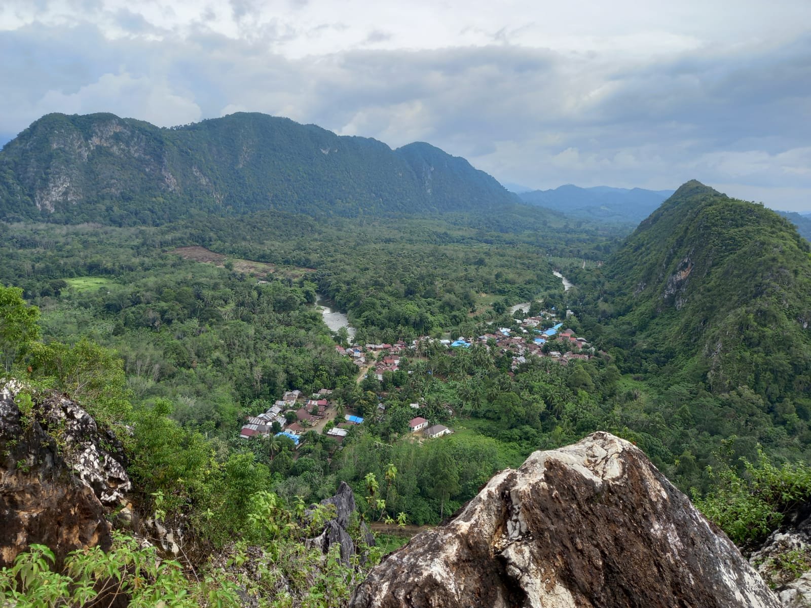 AMAN Tolak Perdagangan Karbon Pegunungan Meratus