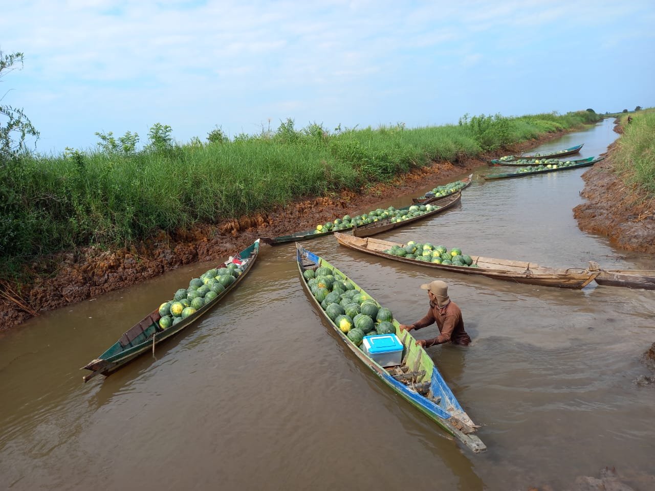 Potensi Lahan Rawa Kalsel