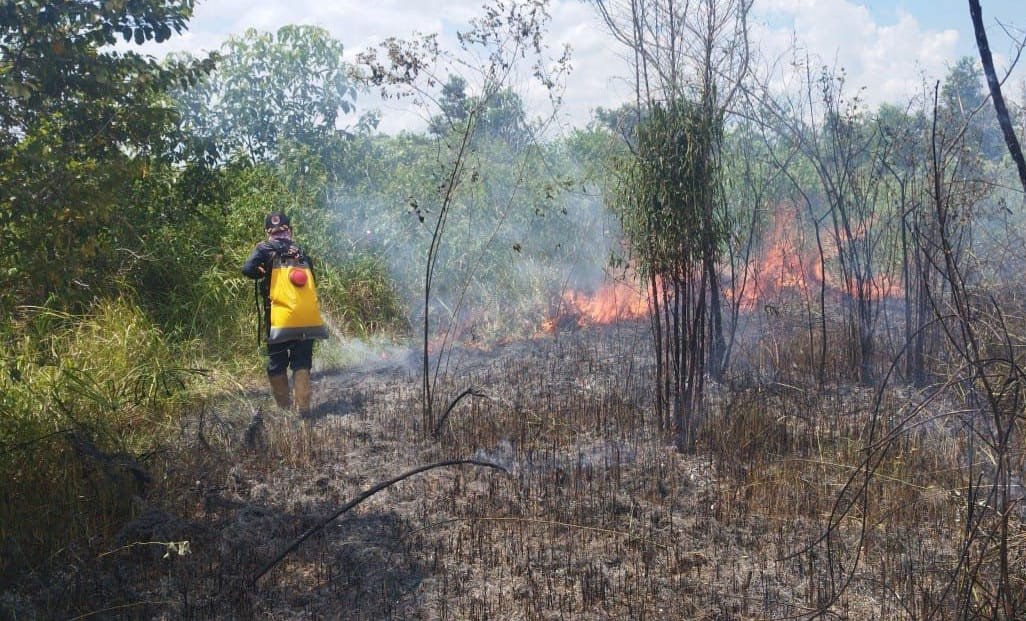 Kalsel Perkuat Kesiapsiagaan Hadapi Karhutla dan Kekeringan