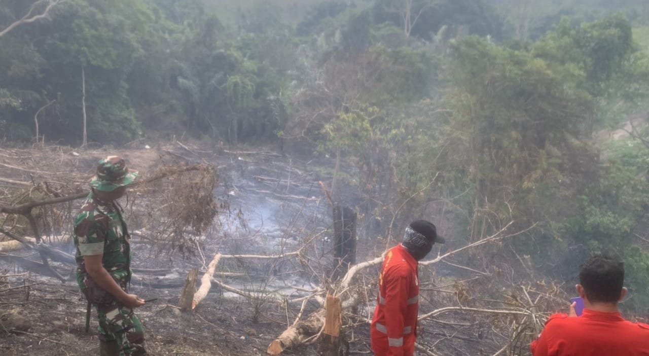 Kalsel Ditetapkan Siaga Darurat Karhutla