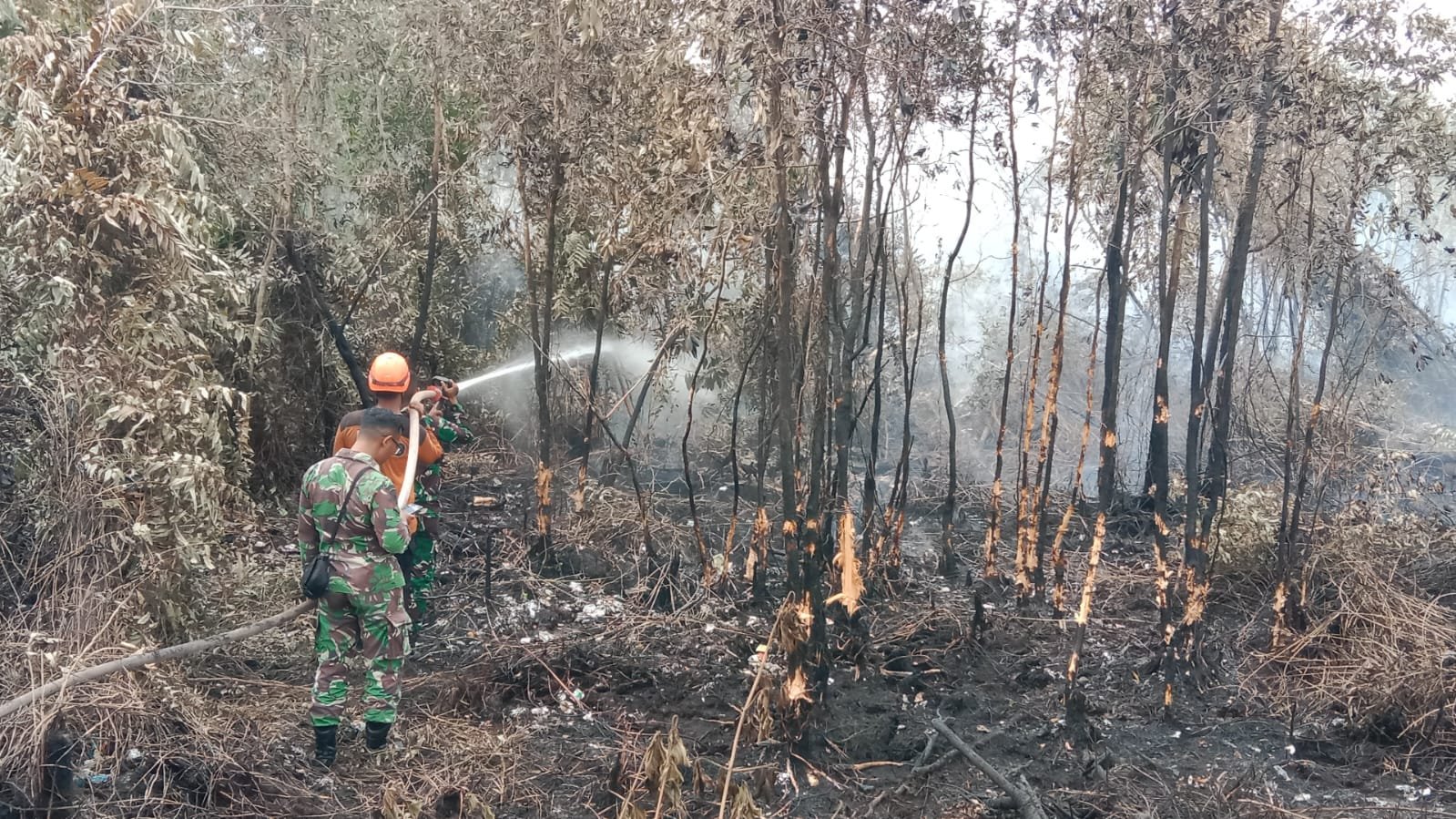 Lahan Plasma Perkebunan di Kalsel Kembali Terbakar
