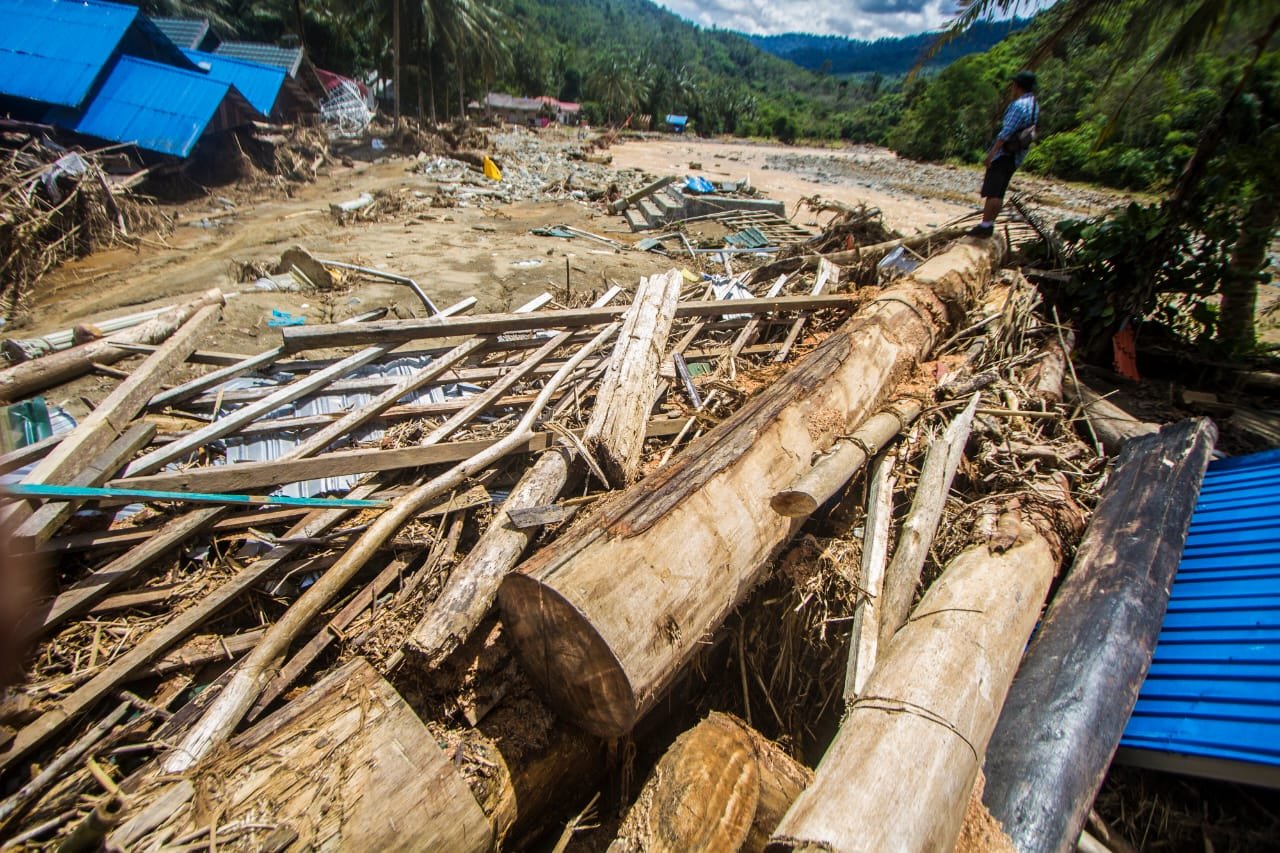 Pembukaan 20 Juta Hektare Hutan Ancaman Baru Bencana Ekologis