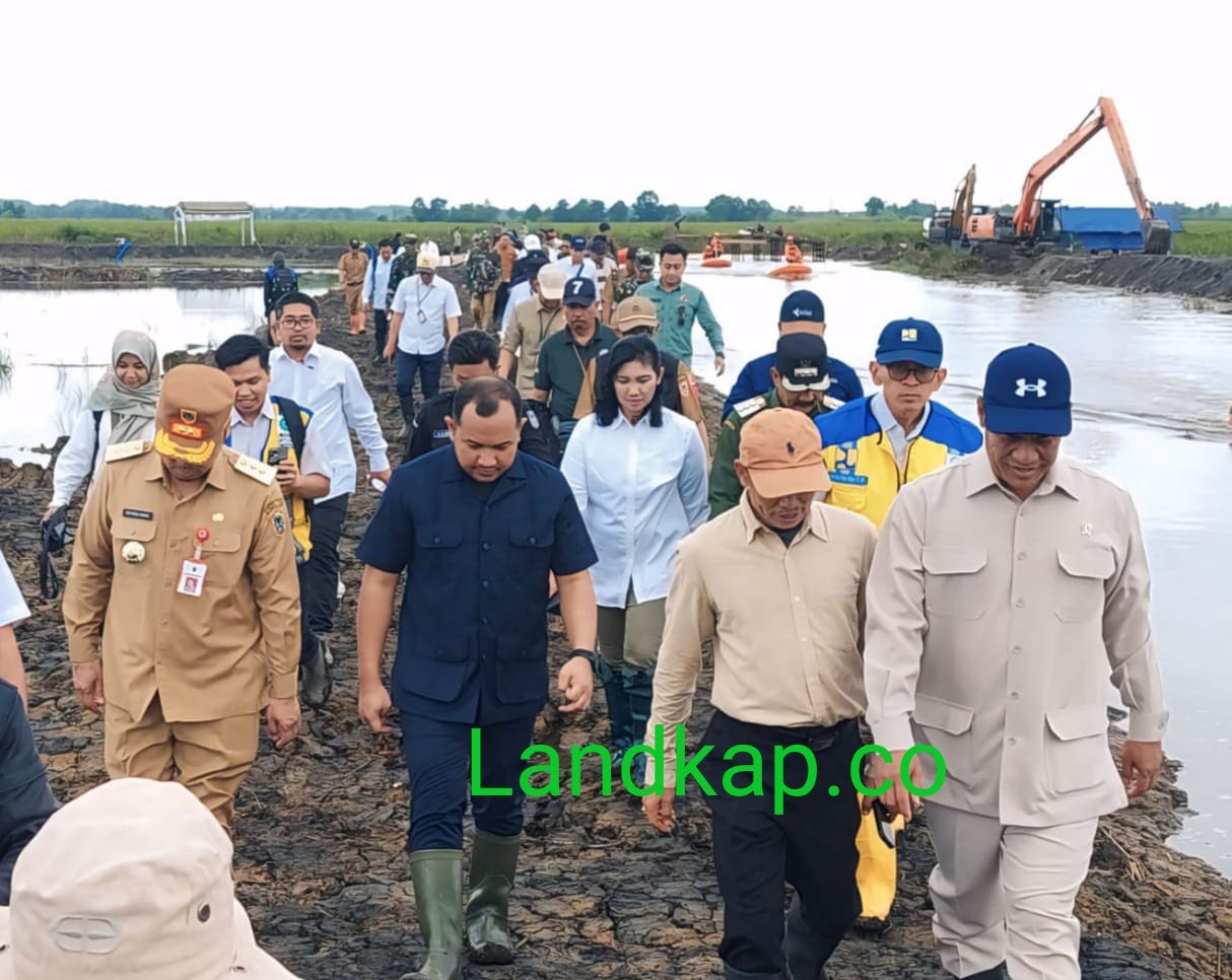 Mentan Tinjau Cetak Sawah di Tanah Laut Kalsel