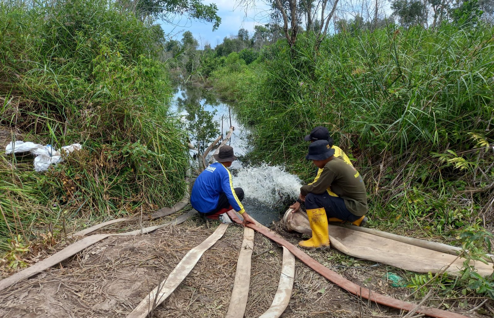 Ratusan Titik Api Terpantau di Kalsel