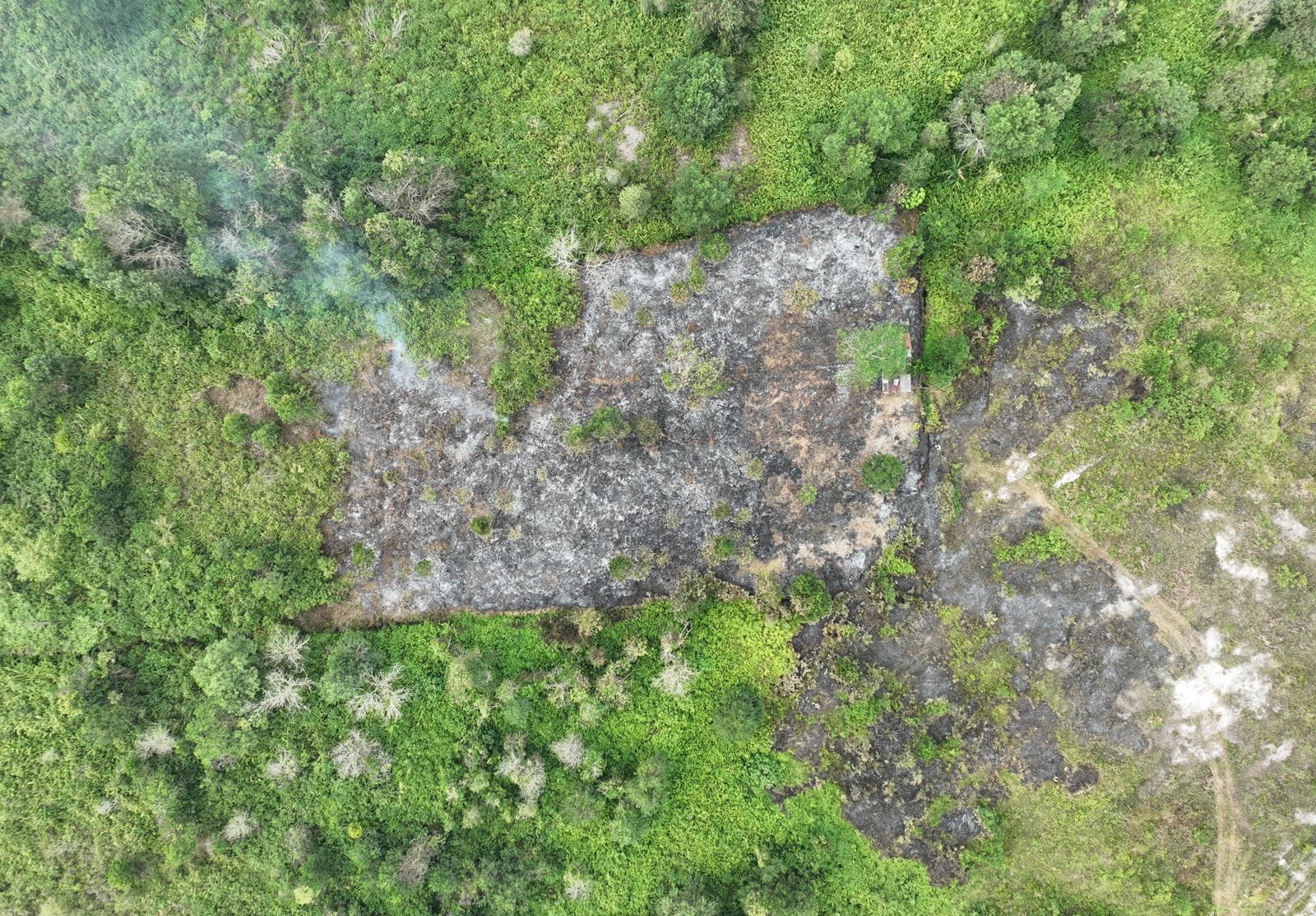 Cuaca Panas Kawasan Sekitar Bandara Syamsudin Noor Rawan Terbakar