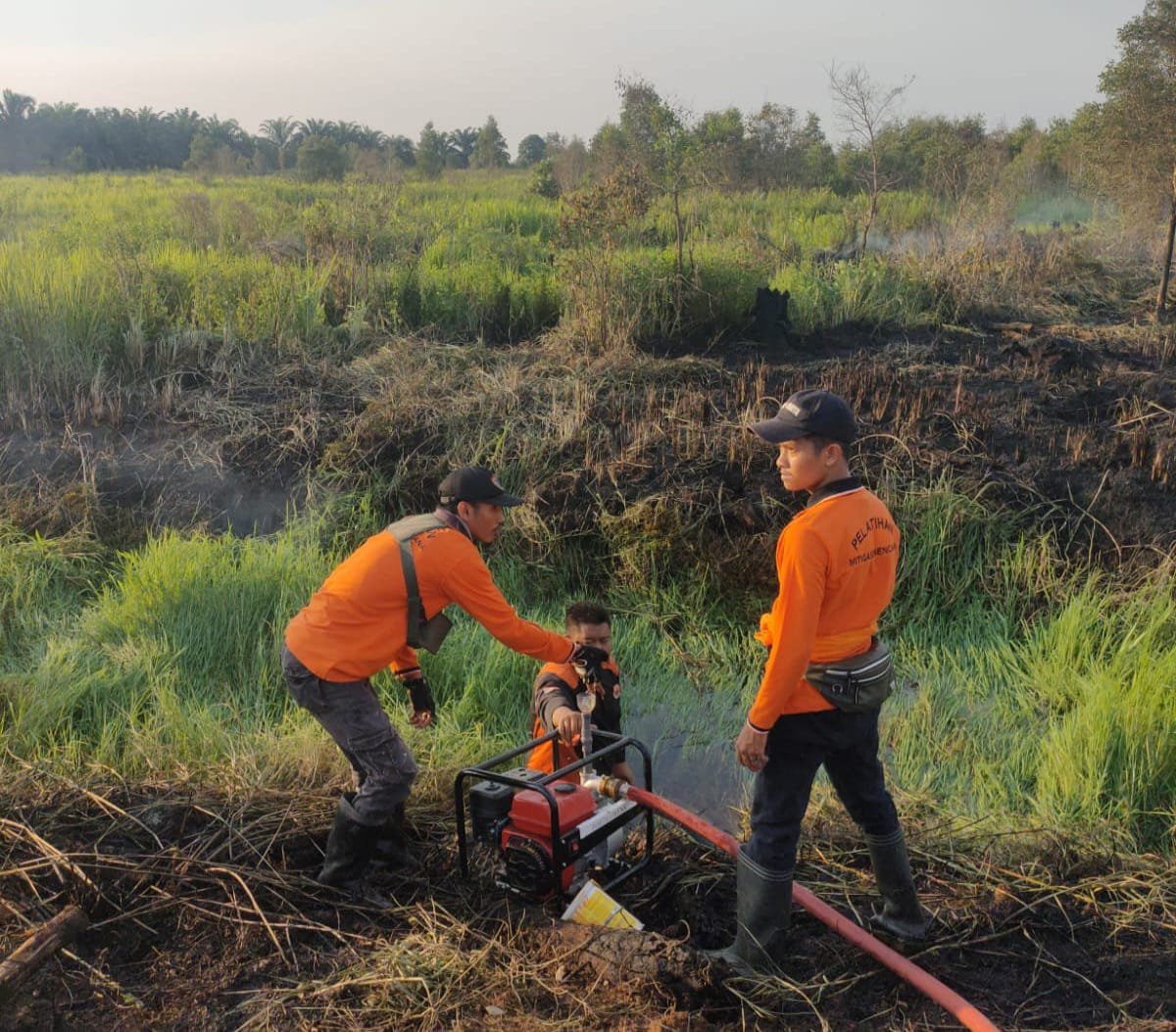 Antisipasi Lahan Gambut Terbakar BPBD Kalsel Lakukan Pembasahan