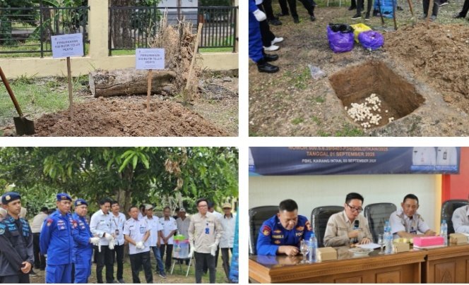 Pemprov Kalsel Berkomitmen Jaga Kelestarian Penyu Laut