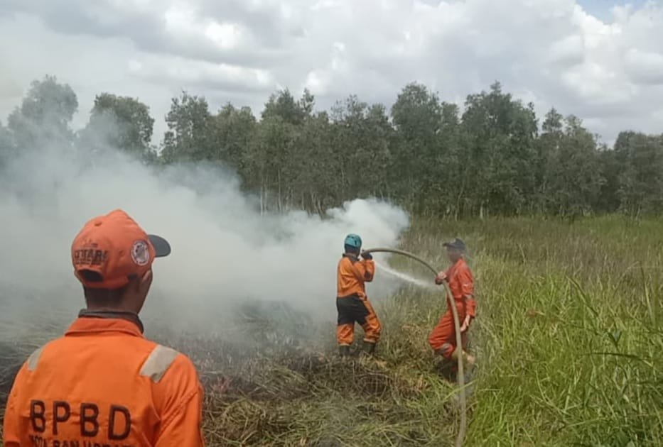 Kalsel Tingkatkan Mitigasi Karhutla