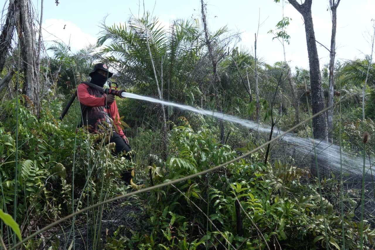 BPBD Kota Palangka Raya Tangani Tiga Kejadian Karhutla