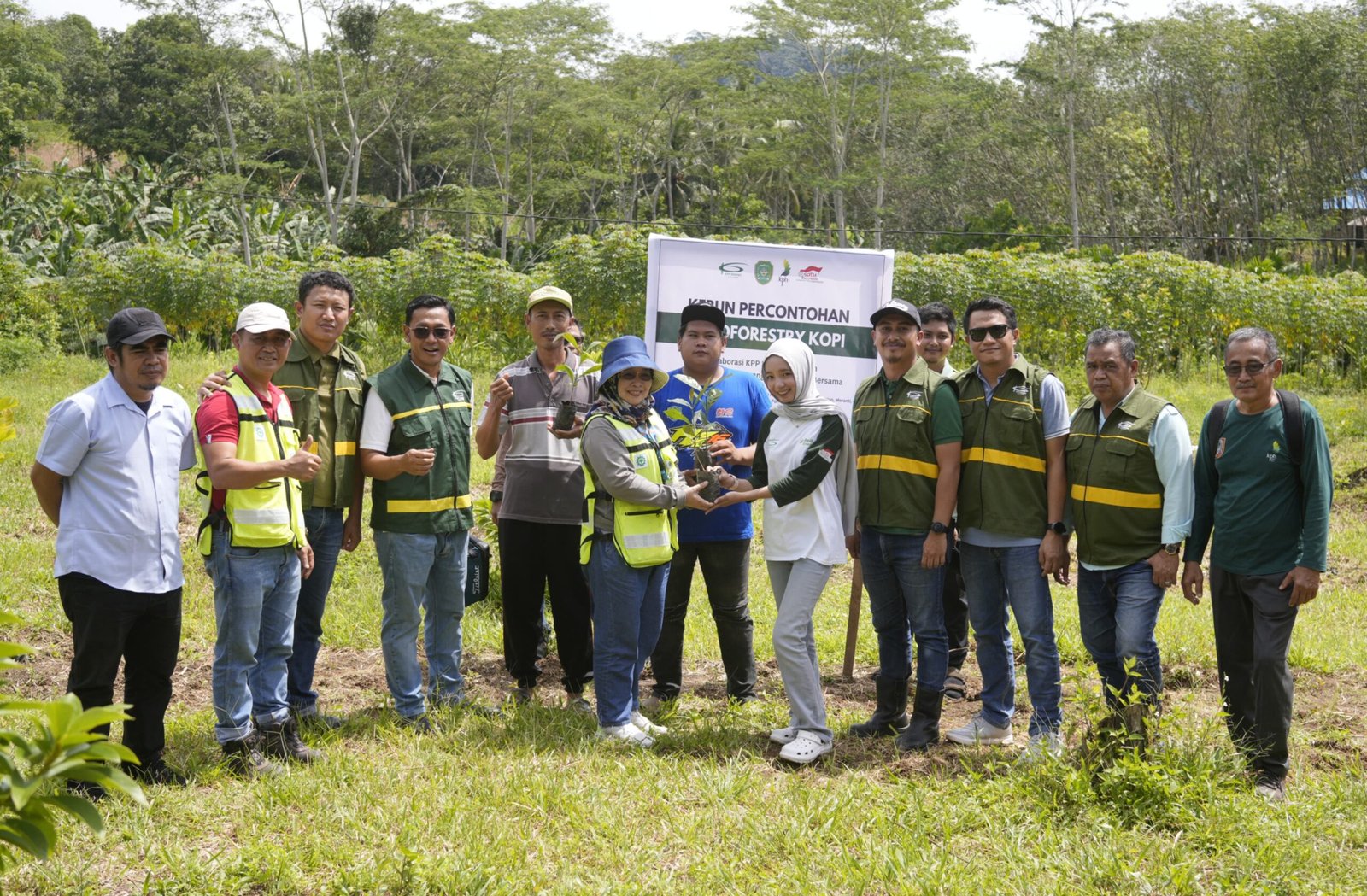 Agroforestri Kopi Liberika Dikembangkan di Kabupaten Tapin