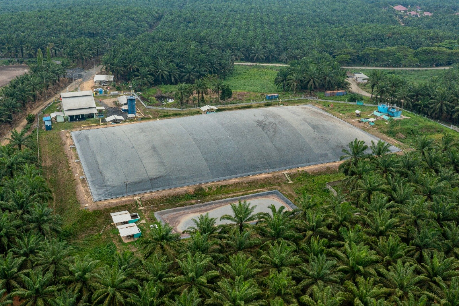 Partisipasi Nagata Bio Energi di Bursa Karbon Lewat Proyek Biogas Sukadamai