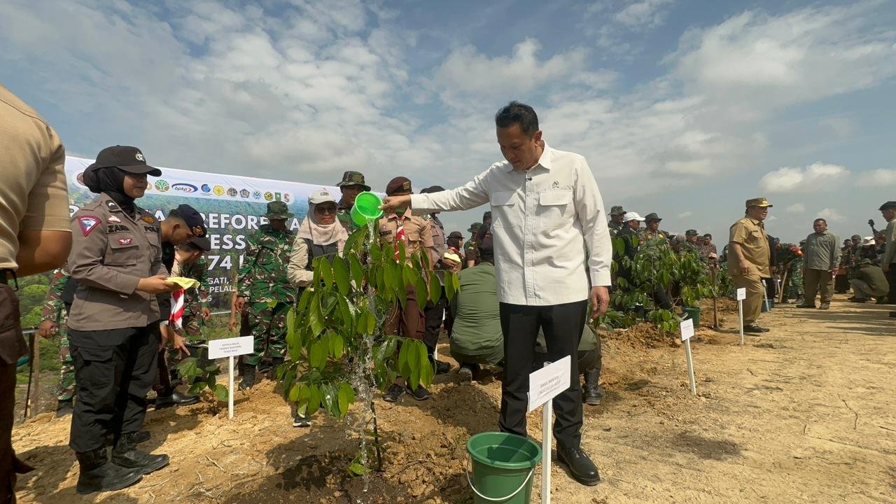 KLH/BPLH Siapkan Data Jasa Lingkungan Hidup untuk Restorasi Tesso Nilo dan Ekosistem Gajah