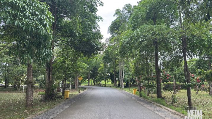 Kebun Raya Banua Percepat Konektivitas Kawasan