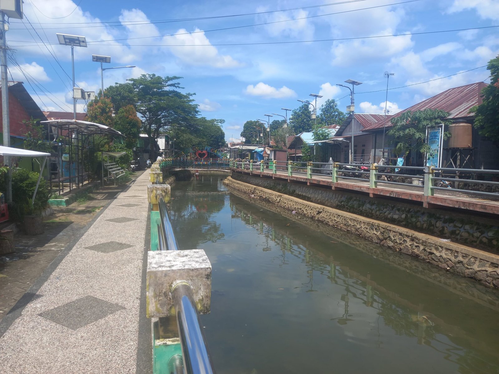 Populasi Ikan Sapu-sapu Penuhi Sungai Perkotaan di Kalsel