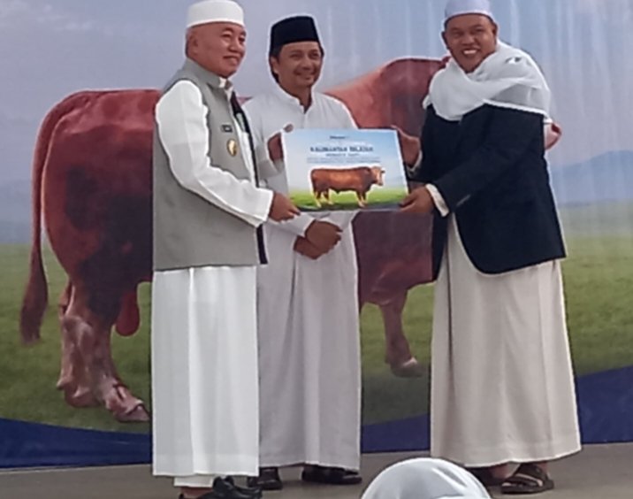 Konsumsi Hewan Qurban di Kalsel 17 Ribu Ekor