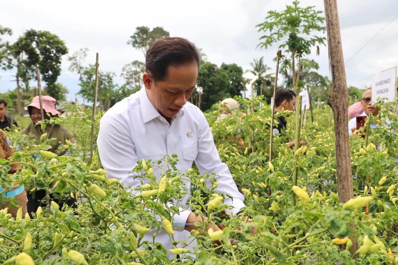 Wamenko Pangan Tinjau Program KSPEAN di HSS, Apresiasi Kesiapan Daerah Wujudkan Swasembada Pangan