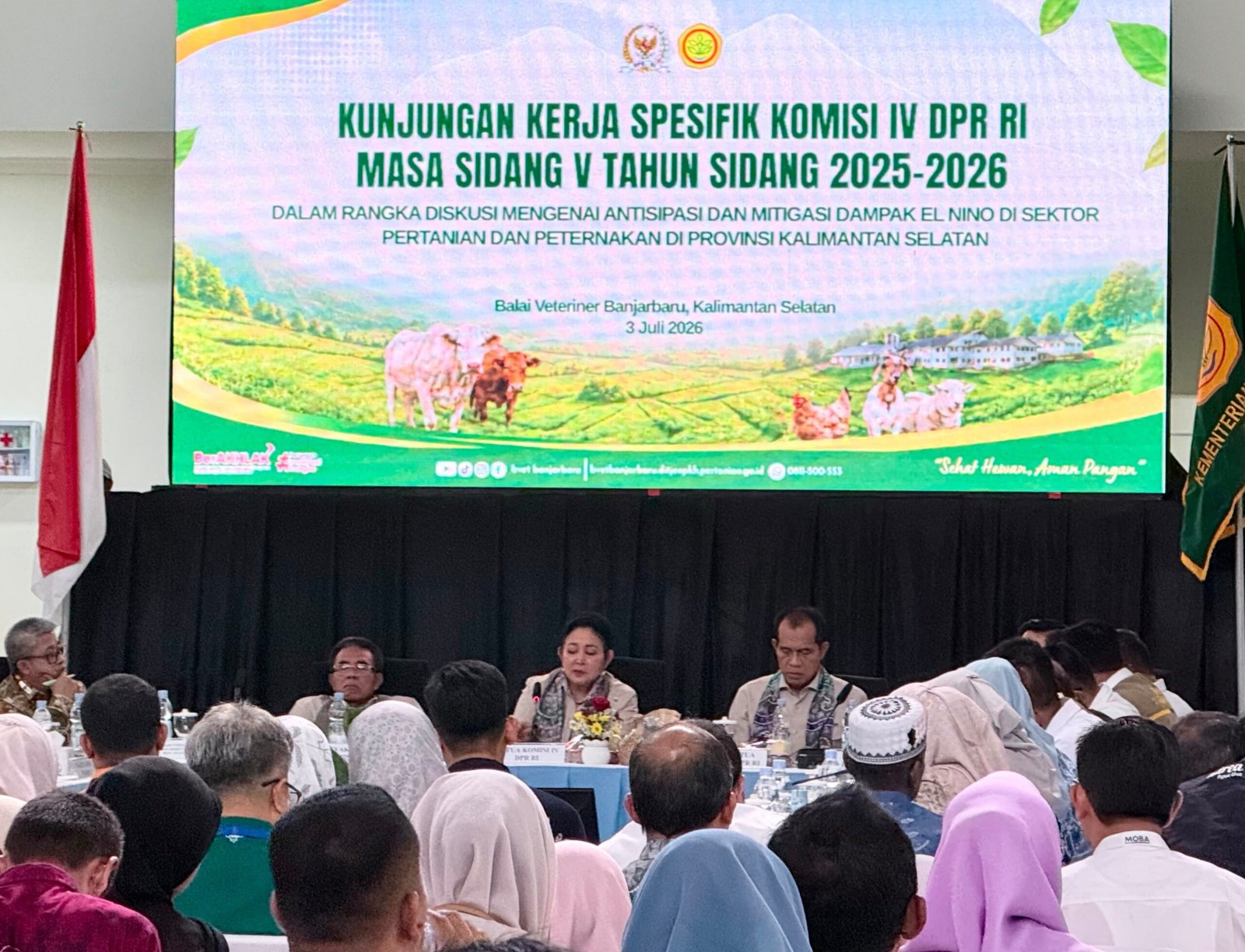 Elnino Ancam Kematian Ternak