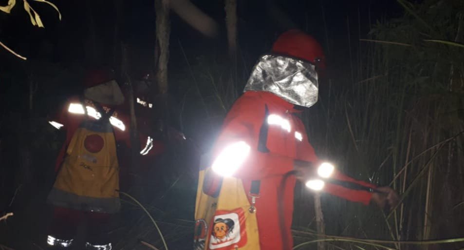 Kemenhut Bantu Atasi Karhutla di Kalsel