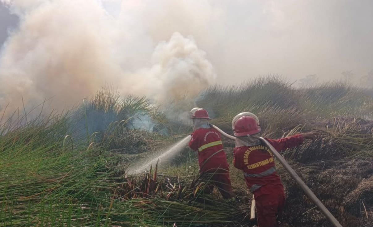 Kemenhut Siagakan Ratusan Personil Manggala Agni Atasi Karhutla di Kalsel