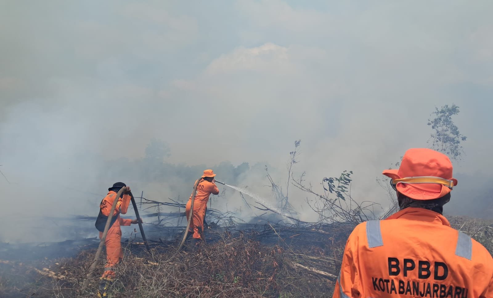 Walhi: Kalimantan Darurat Asap