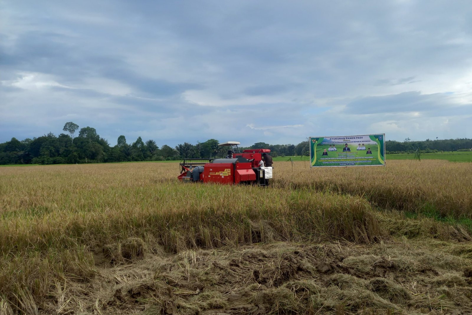 Kemarau Kalsel Manfaatkan Lahan Rawa Lebak