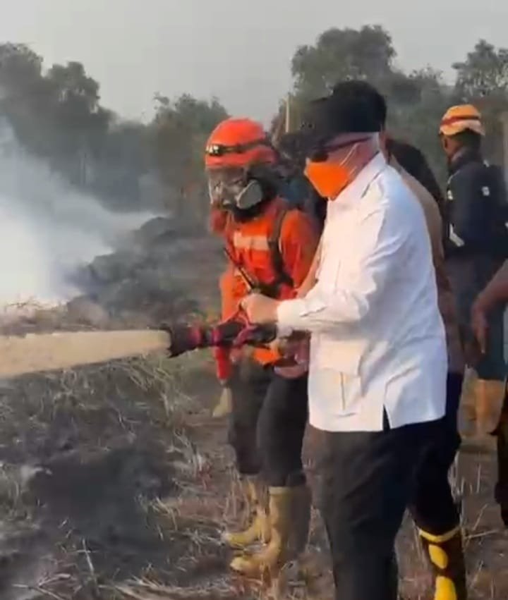 3.387 Hektare Hutan dan Lahan di Kalsel Hangus Terbakar