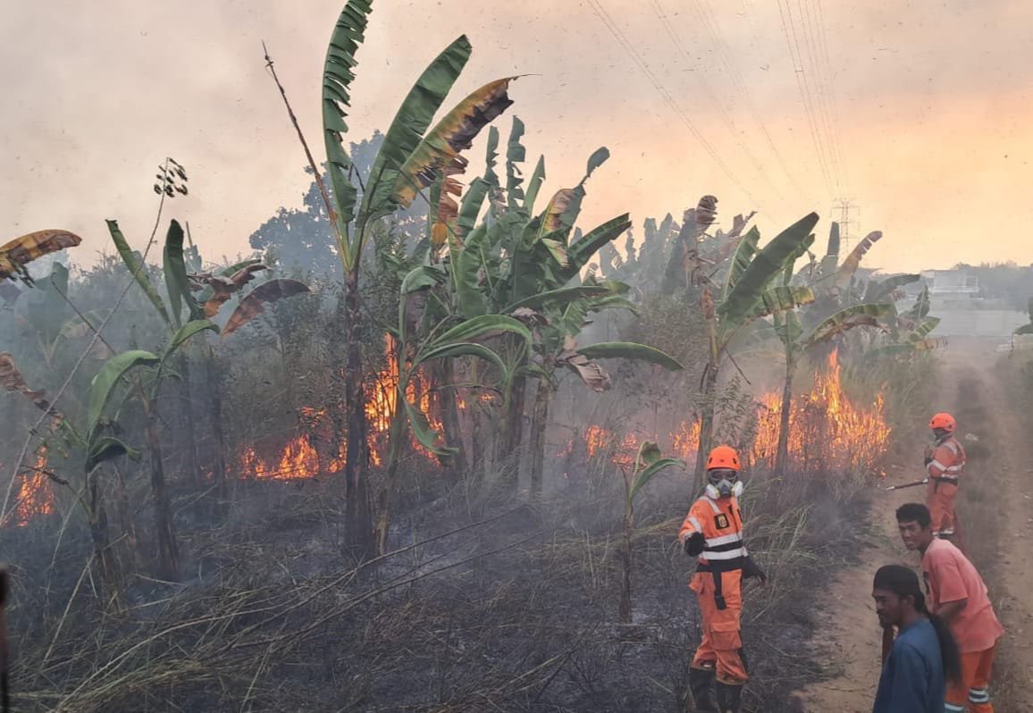 Masyarakat Diminta Patuhi Protokol Kesehatan