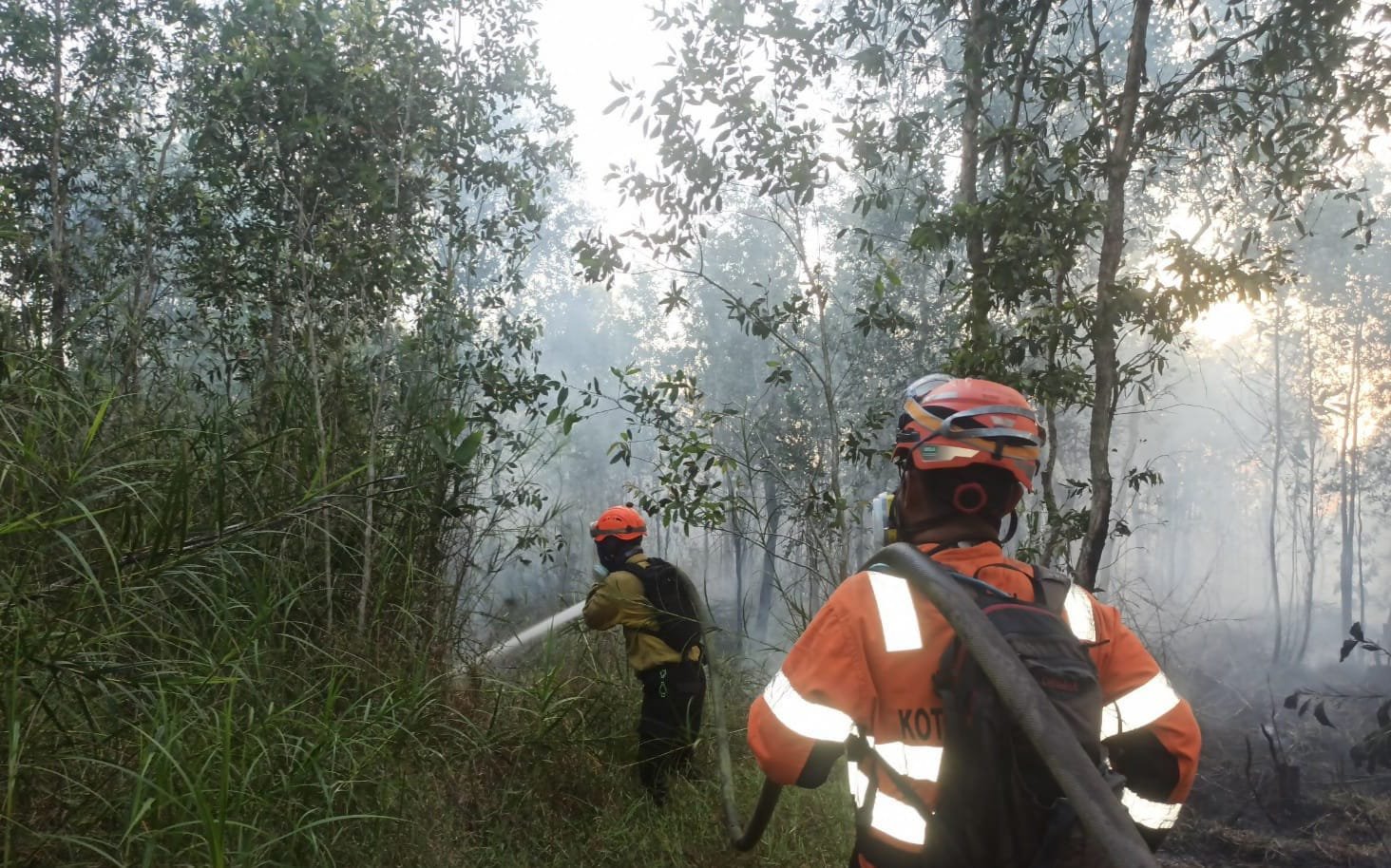 Walhi: Kalsel Belum Merdeka dari Asap dan Krisis Iklim