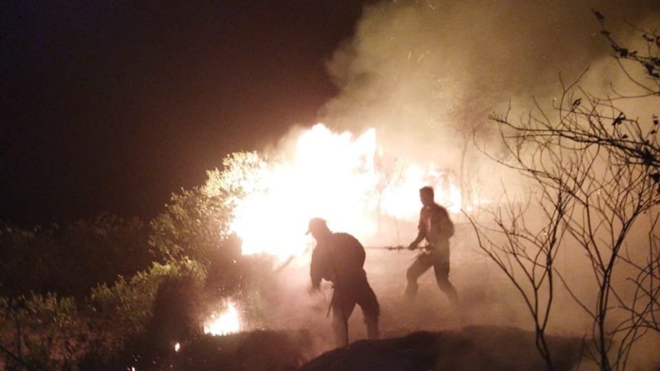 Gubernur Kalsel Minta Tindak Tegas Pelaku Pembakar Hutan dan Lahan