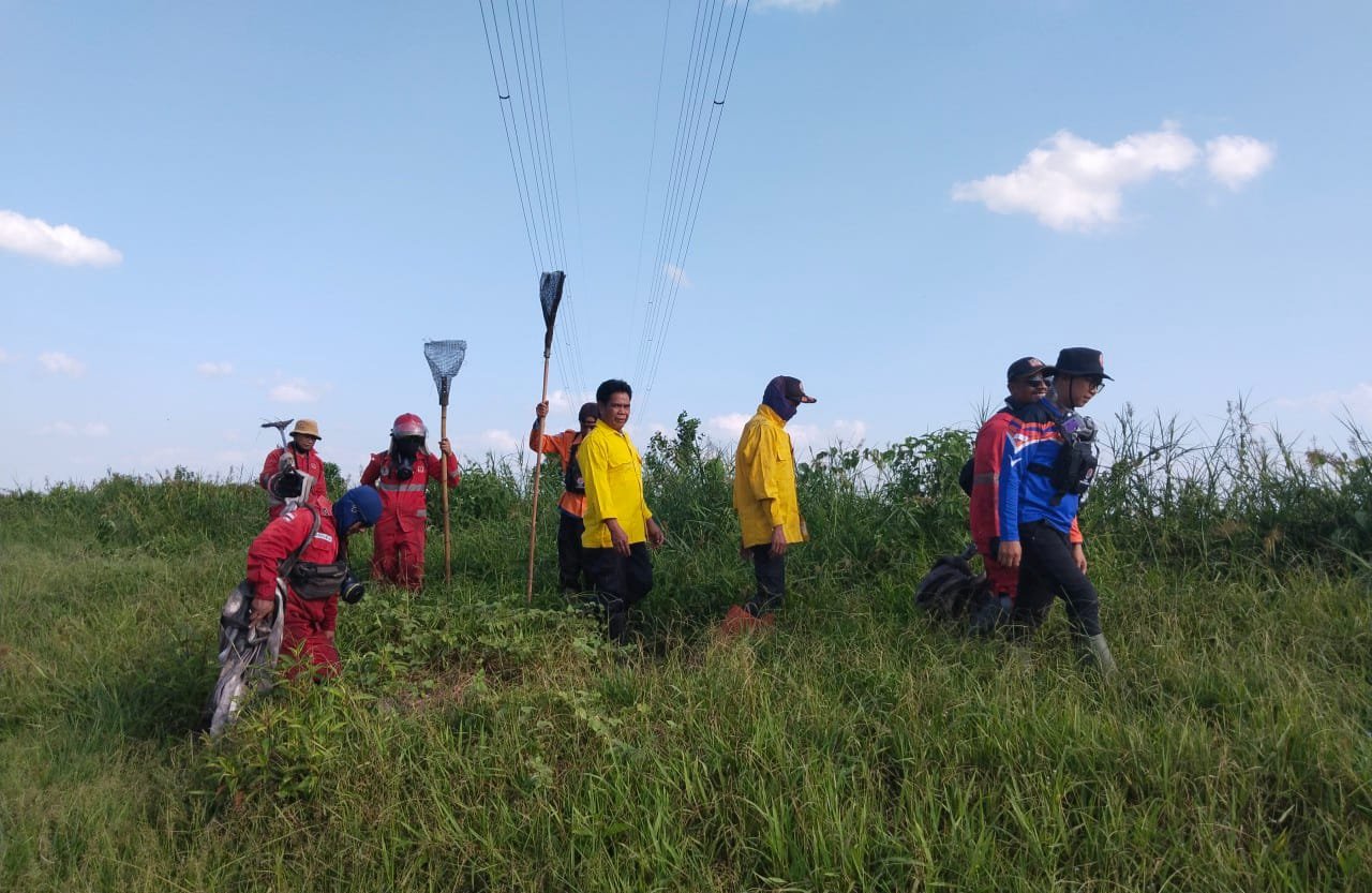 Kementerian LH Fokus Penanganan Enam Provinsi Terdampak Karhutla