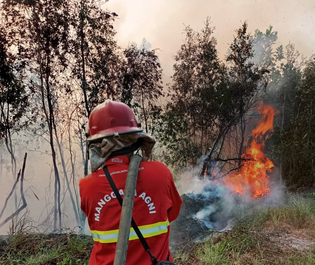 12.880 Personil Dikerahkan Tangani Karhutla Kalimantan