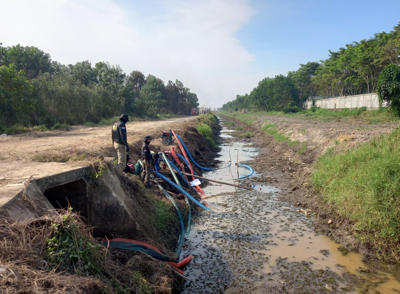Kalsel Akui Kesulitan Tangani Lahan Gambut yang Terbakar 