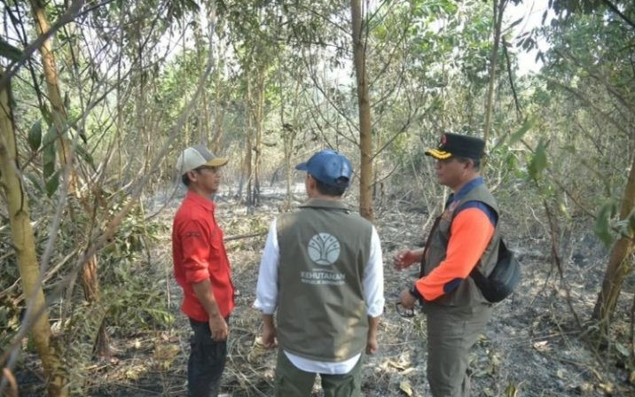 Tinjau Karhutla Kalsel, Menhut Raja Antoni: Api Sudah Tak Terlihat, tapi Gambut Masih Berasap