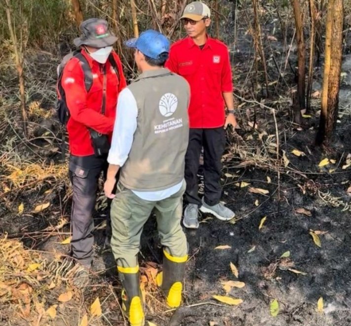 Menhut Raja Antoni Turun ke Lokasi Karhutla Kalsel, Operasi Pemadaman Diperkuat