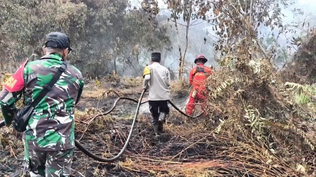 Dilarang Buka Lahan dengan Cara Membakar