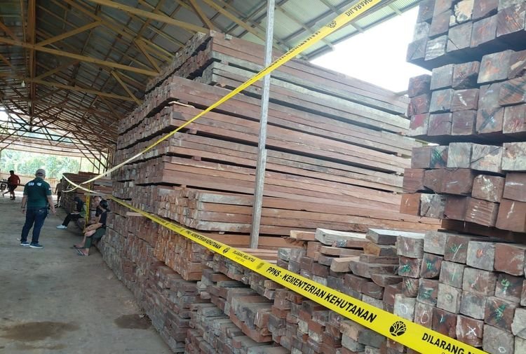 Kemenhut Tuntaskan Berkas Perkara Pemilik Gudang Penampungan Kayu Ilegal Di Samarinda