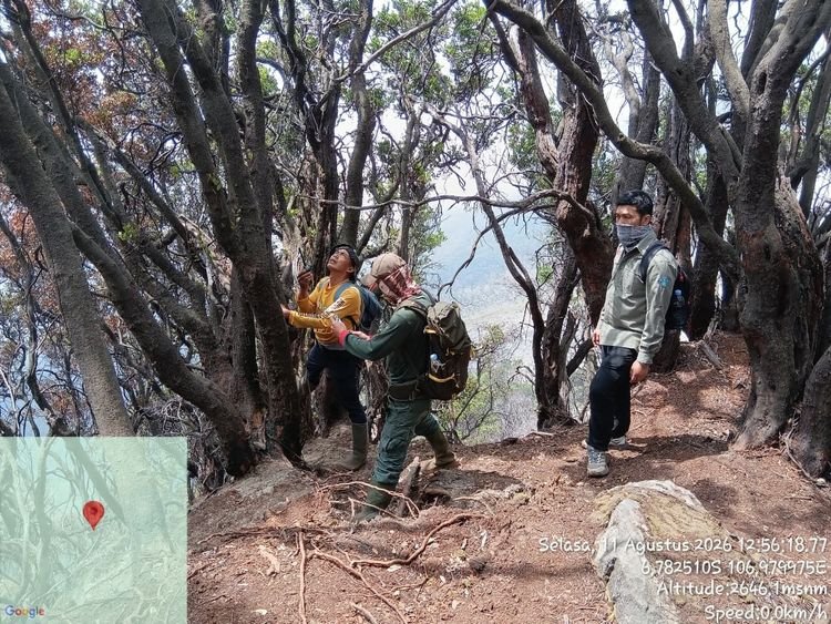 Titik Api Kembali Muncul di Kawah Wadon Gunung Gede