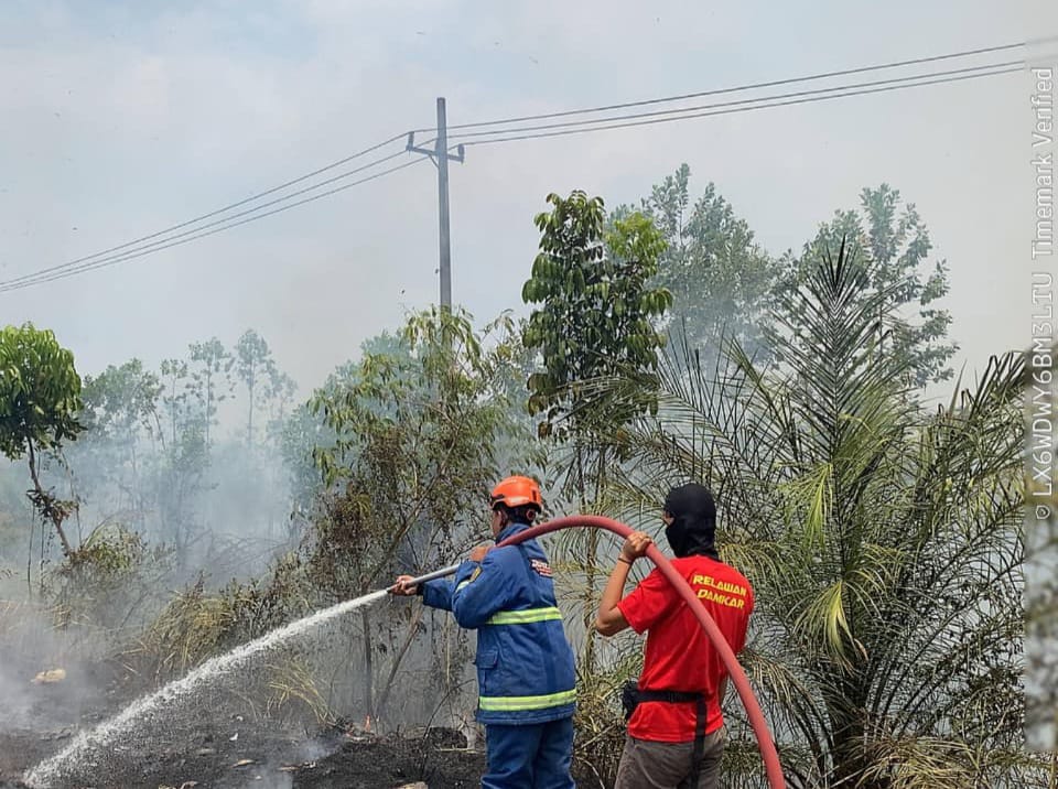 Belasan Ribu Hektare Wilayah Kalsel Terbakar