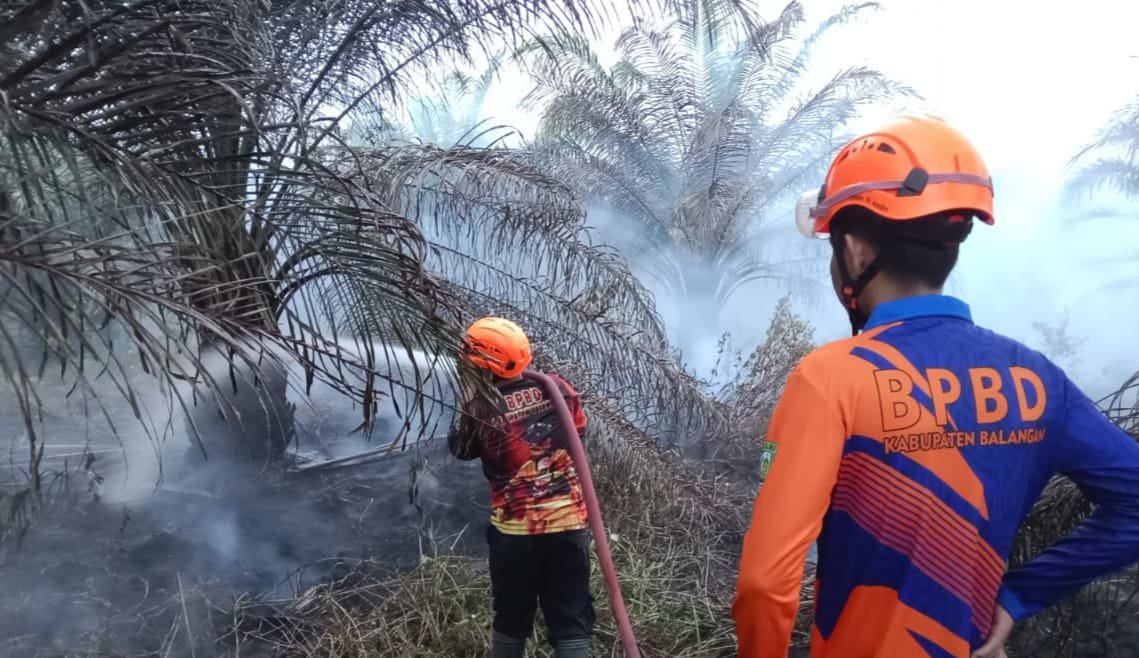Karhutla Kalsel Capai 21 Ribu Hektare 