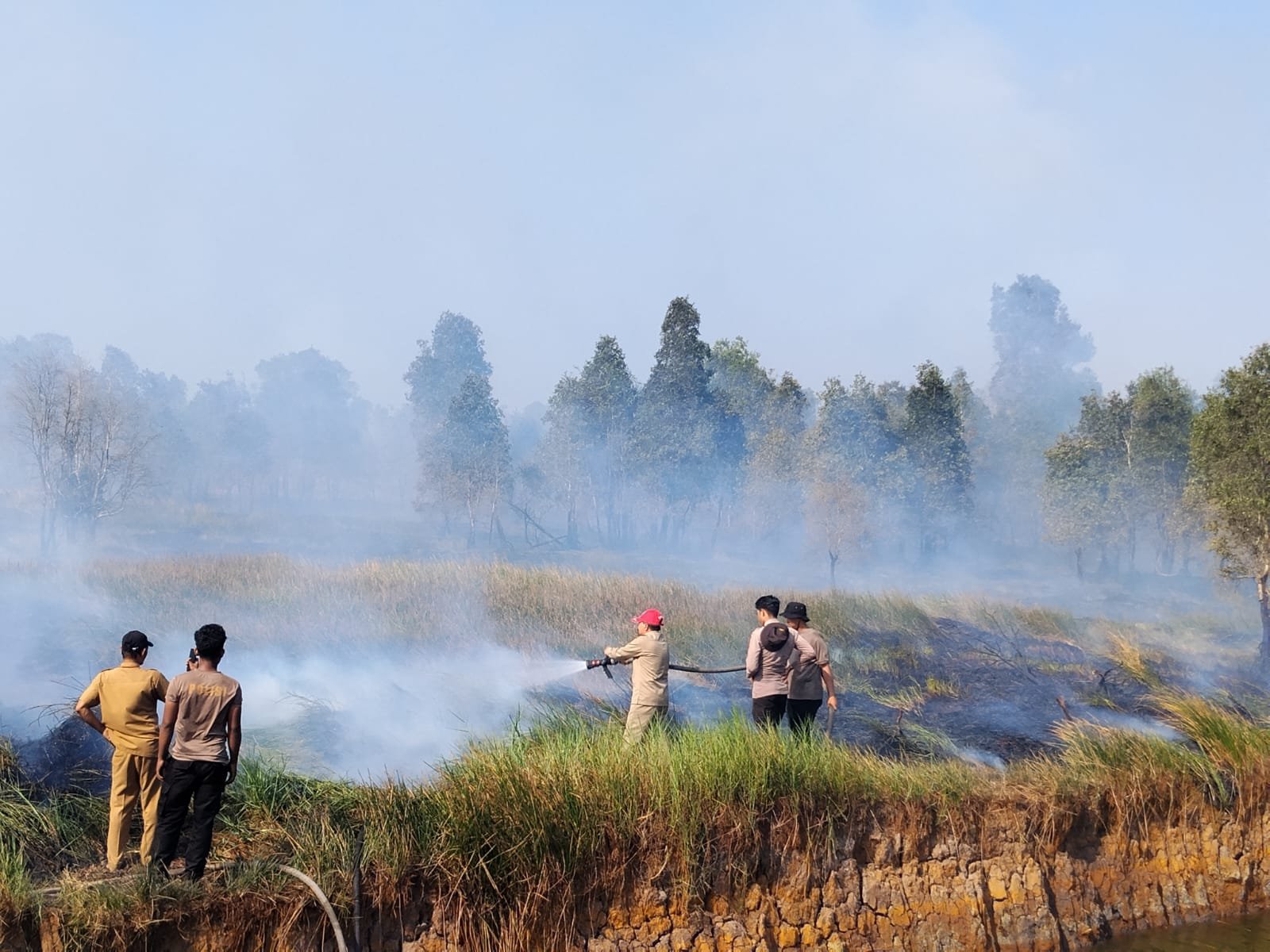 Kekeringan dan Karhutla Ancam Lahan Pertanian di Kalsel 