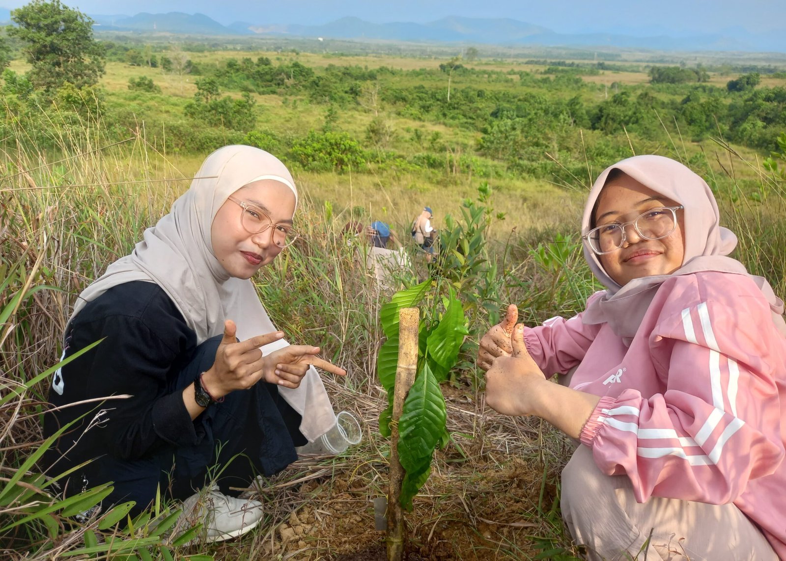 Alih Fungsi Lahan dan Minimnya Regenerasi Jadi Tantangan Pertanian Kalsel