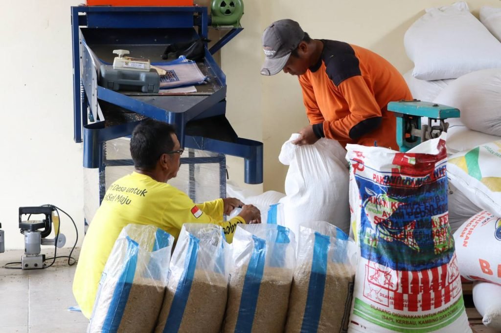 Balai Benih TPH Kalsel Tetap Jaga Ketersediaan Benih Petani