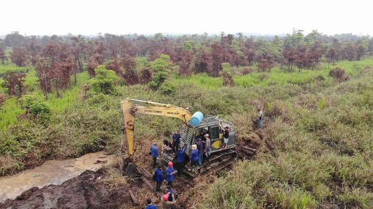Di Tengah Penanggulangan Karhutla, Kemenhut Amankan Ekskavator dan 2 Perambah Hutan di Ketapang