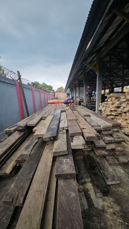 Kasus 702 Batang Kayu Besi Ilegal Buton Utara Siap Disidangkan, Kemenhut Telusuri Rantai Peredarannya