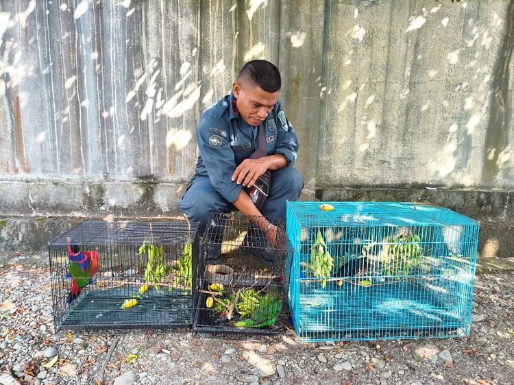 Perdagangan Satwa Liar Dilindungi Melalui Media Sosial