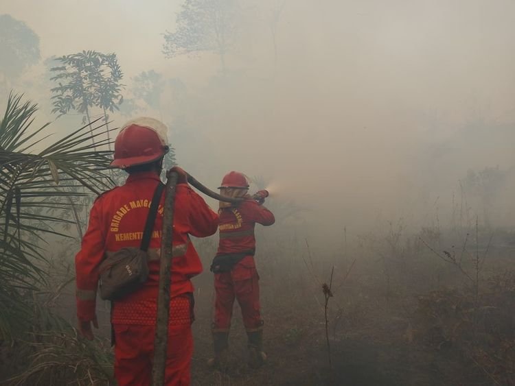 Pengendalian Kalteng-Kalbar Diperkuat