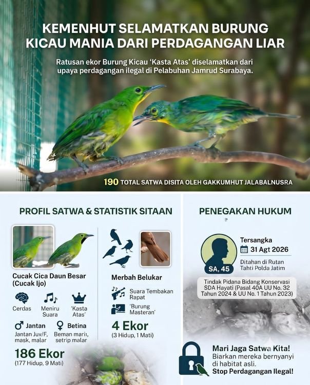 Ini Burung Kicau Mania ‘Kasta Atas’ yang Diselamatkan Kemenhut dari Pedagangan Liar