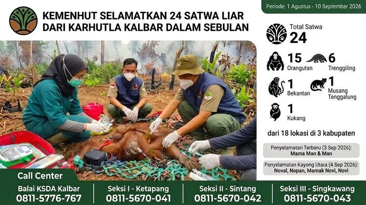 Kemenhut Selamatkan 24 Satwa Liar dari Karhutla Kalbar Dalam Sebulan